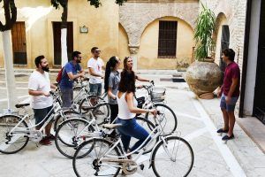 friends bike tour seville