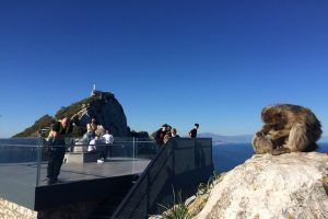 monos gibraltar