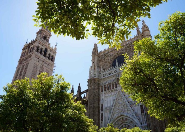 cathedral giralda seville guided tour