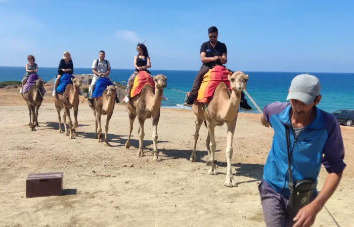 Balade en groupe à dos de chameau sur la plage de Tanger, dans le cadre d'un circuit à travers trois pays partant de Séville et passant par Gibraltar et le Maroc