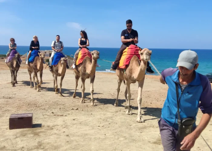 Group riding camels on the beach in Tangier on a three country tour visiting Gibraltar and Morocco from Seville