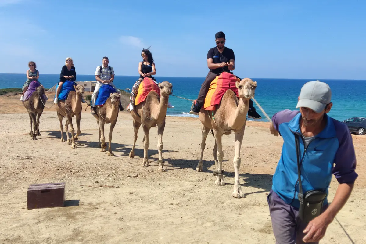 Group riding camels on the beach in Tangier on a three country tour visiting Gibraltar and Morocco from Seville